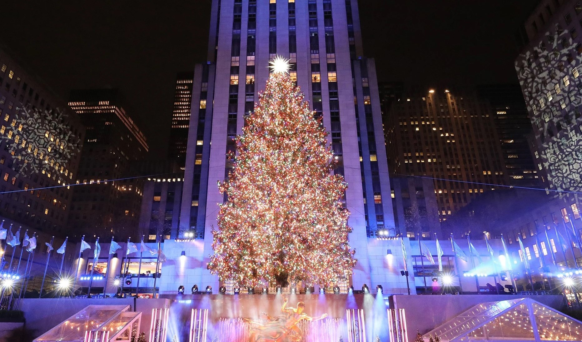 Một gia đình Công giáo tặng cây thông 90 tuổi cho TP New York