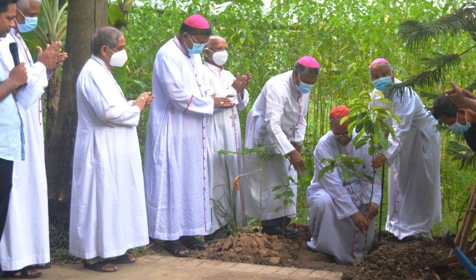 Một tín hữu Công giáo Bangladesh một cây xanh