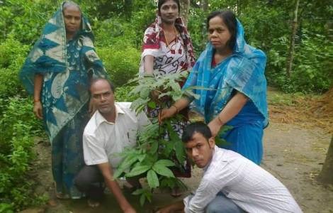 Giáo hội Bangladesh trồng 1 triệu cây xanh Laudato si
