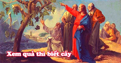 GÓC SUY GẪM – MÙA DỊCH COVID-19 (Lc 6,43-49; thứ Bảy, tuần XXIII Thường niên)