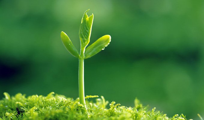 Ðôi mắt của trời cao