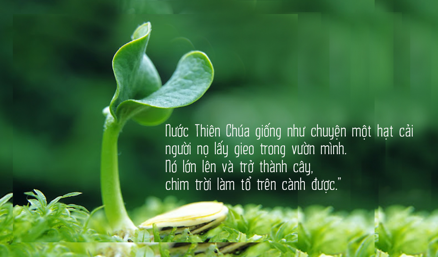 Lớn lên và trở thành