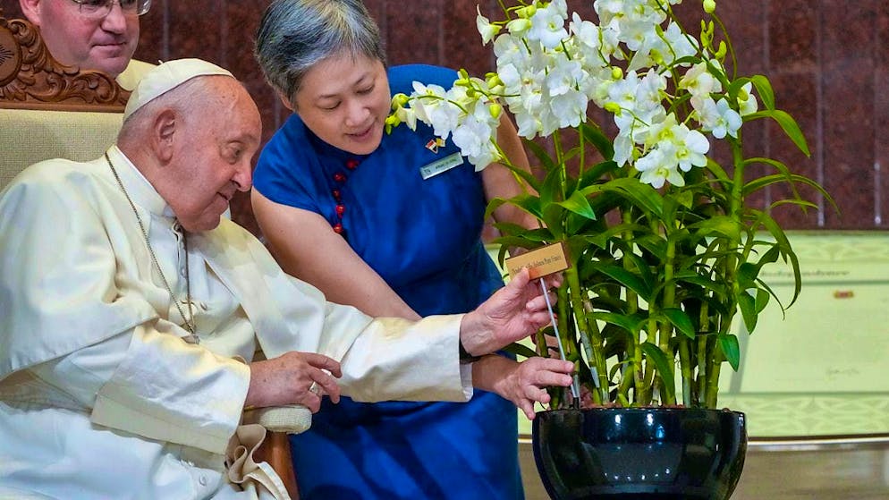 Singapore đặt tên Đức Giáo Hoàng cho hoa lan mới