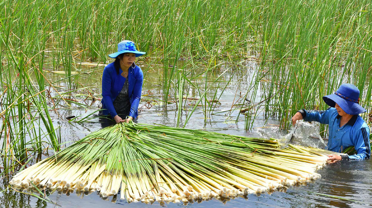 Ngày xưa nhà nghèo nhưng toàn ăn “đặc sản”