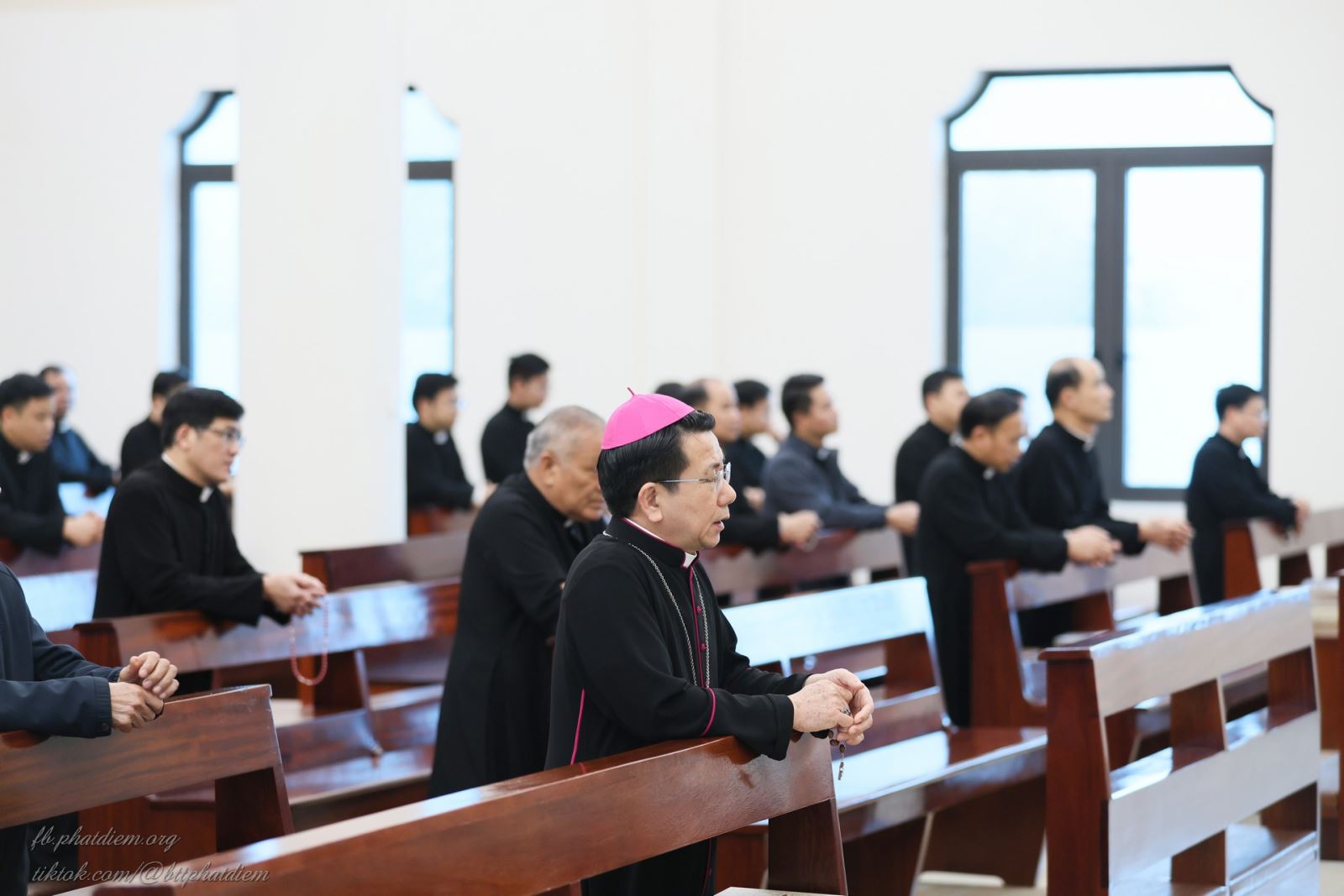 Những mục tử của hy vọng