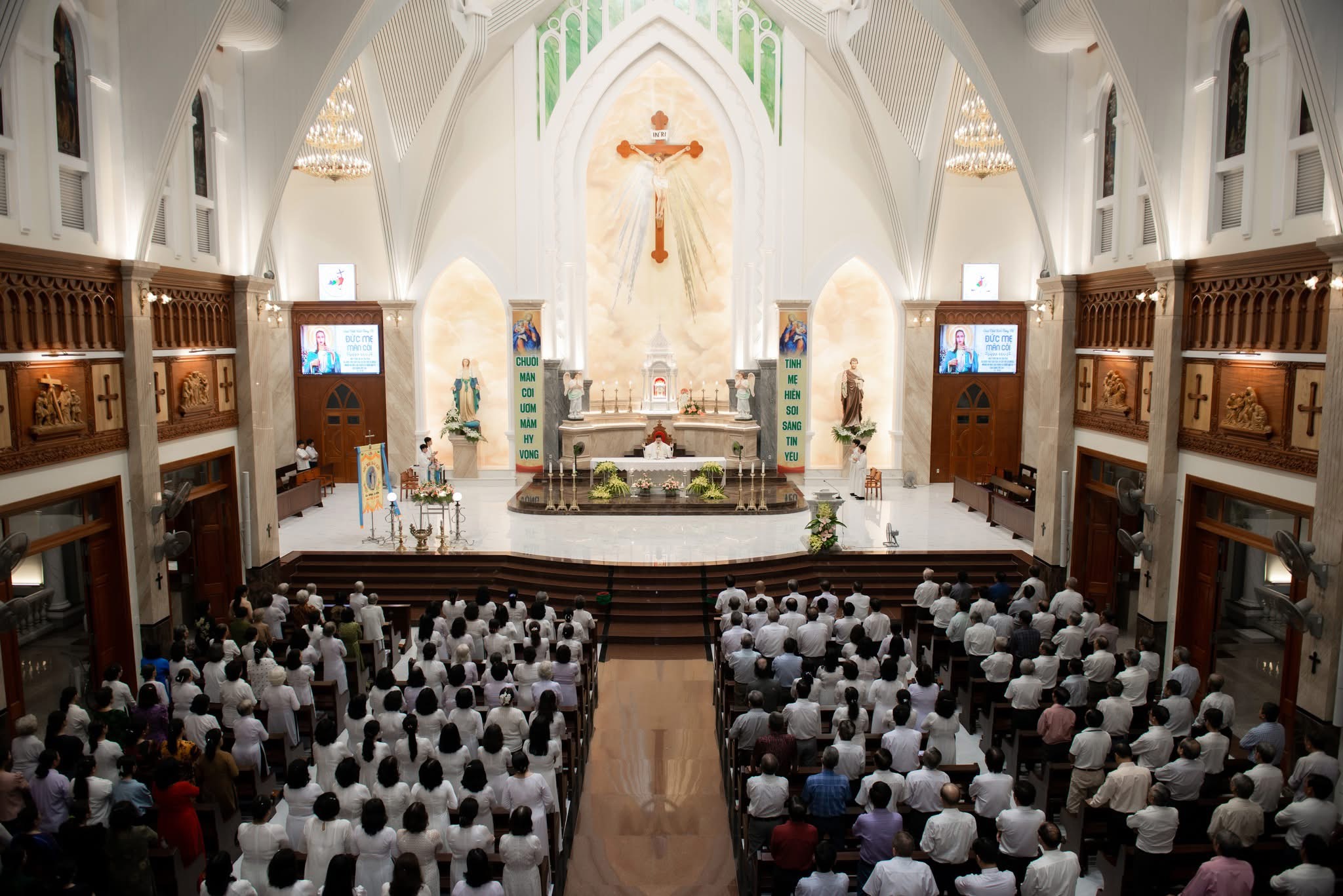 IMG_3201.JPG (517 KB)