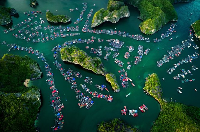 Mỗi bước đi dệt nên kỷ niệm