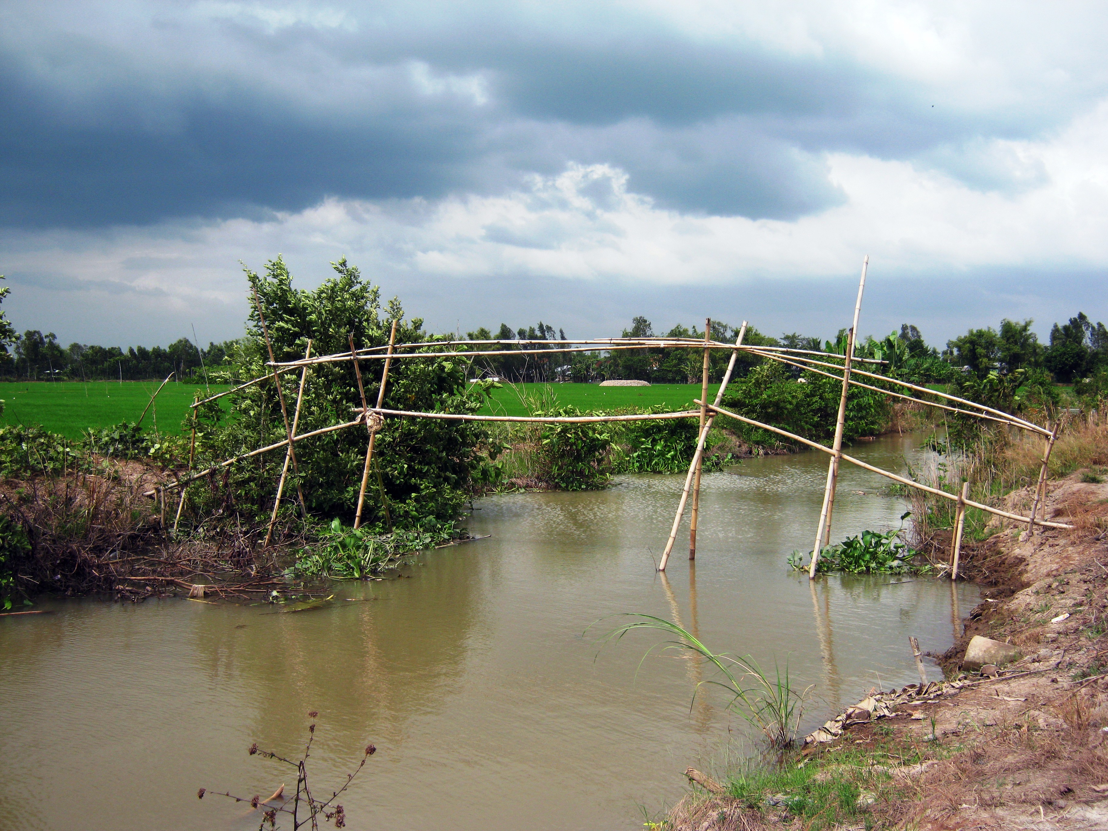 Một thời cầu khỉ