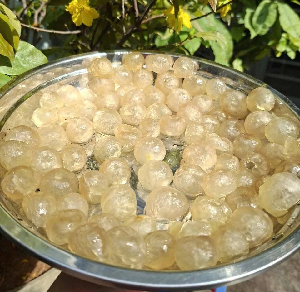 0301902068.webp (199 KB)