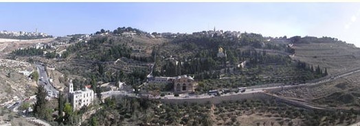 IMG_9893.jpeg (36 KB)