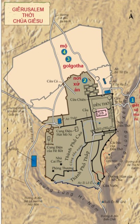 IMG_9894.jpeg (144 KB)