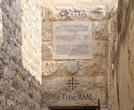 IMG_9898.jpeg (90 KB)