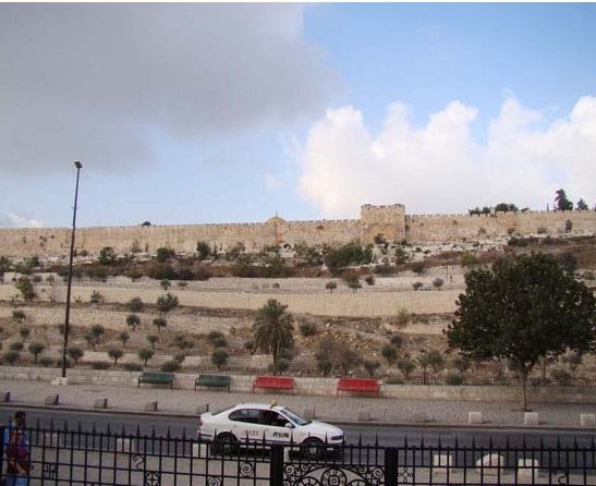 IMG_9901.jpeg (63 KB)