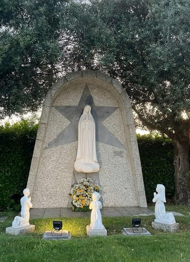 “Năm xưa  trên cây sồi...” giai điệu đi qua bao nhiêu thế hệ