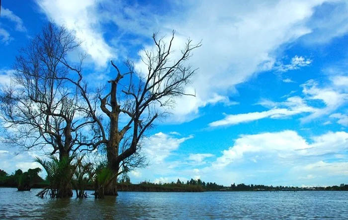 damthituong.jpg (89 KB)