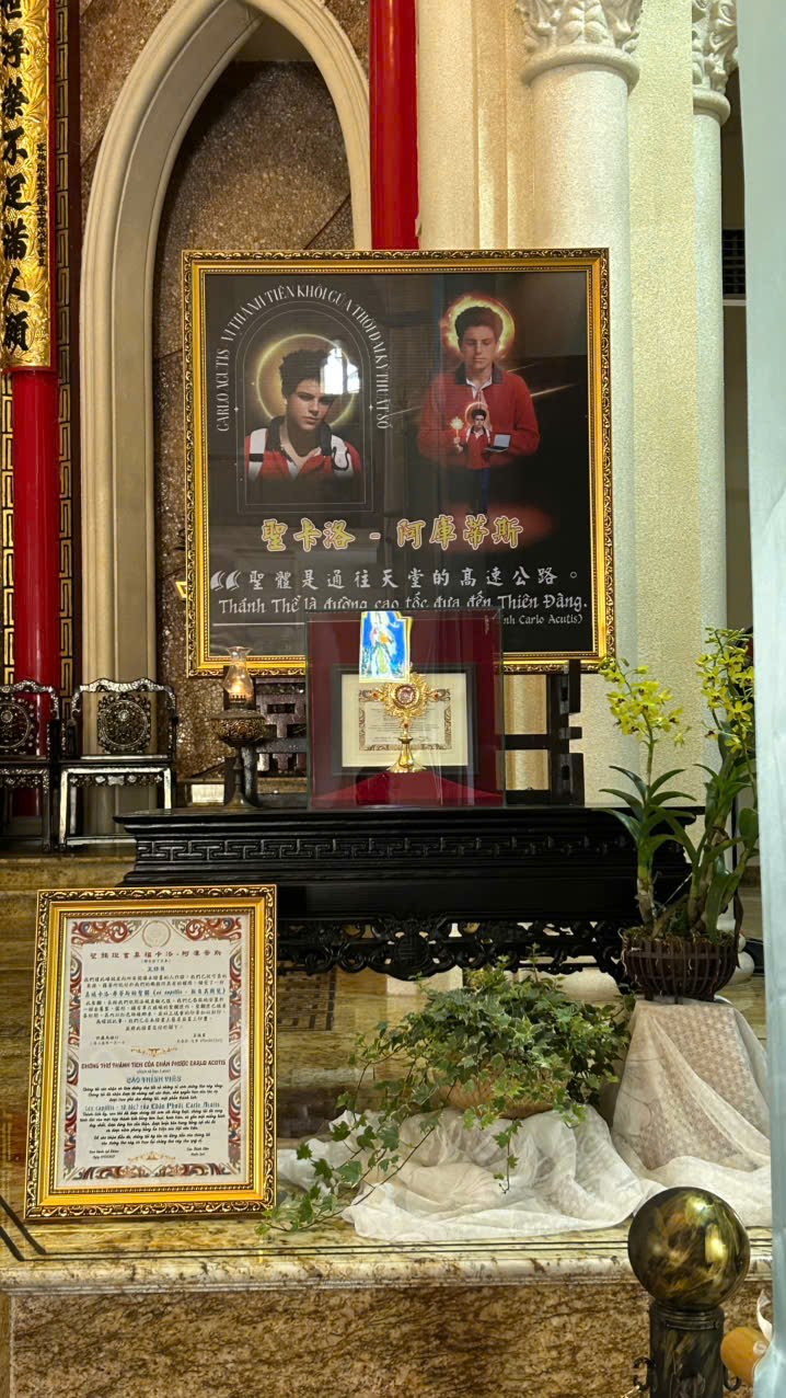 1000048379.jpg (251 KB)