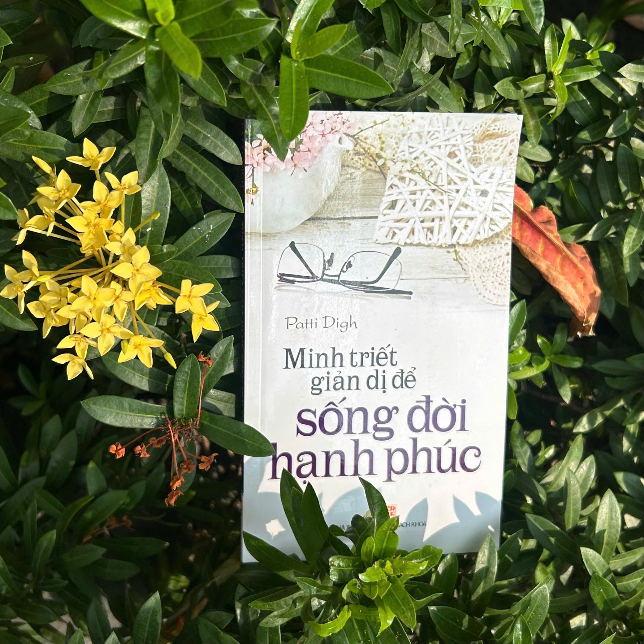 songdoihanhphuc.jpg (600 KB)