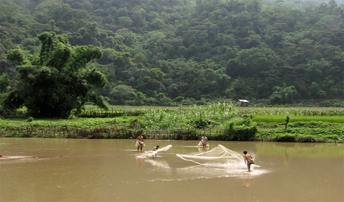 Nghề của Ba tôi