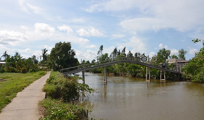 Bước chân lấm bùn nơi rừng mắm