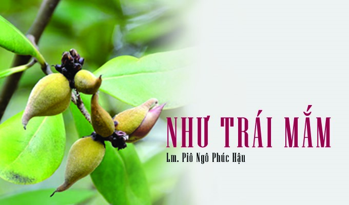 Lá thư ngỏ gửi ông Ladarô