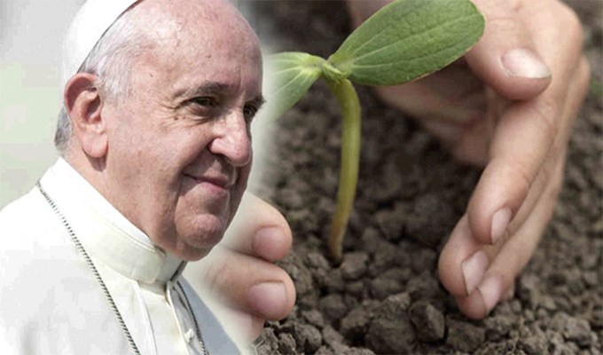 Laudato Si’ dành cho người bận rộn