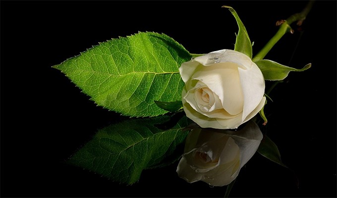 Còn đâu nữa... mẹ ơi !