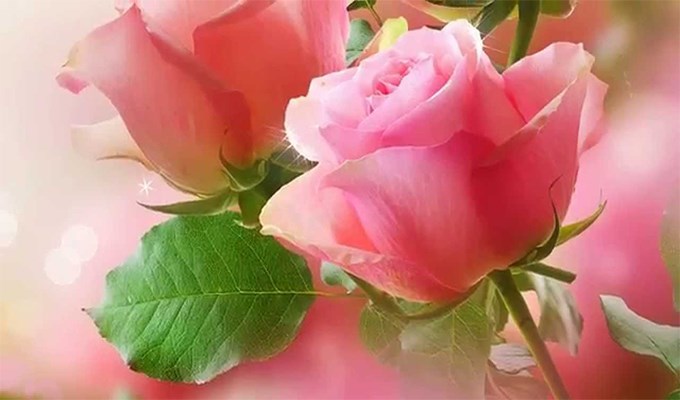 Bài giảng có bài hát