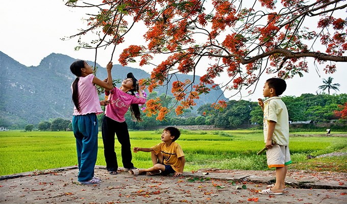 Để mùa hè của thiếu nhi được bổ ích…