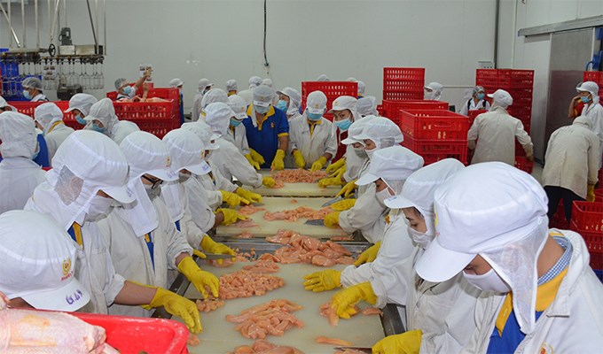 Sản xuất sản phẩm an toàn