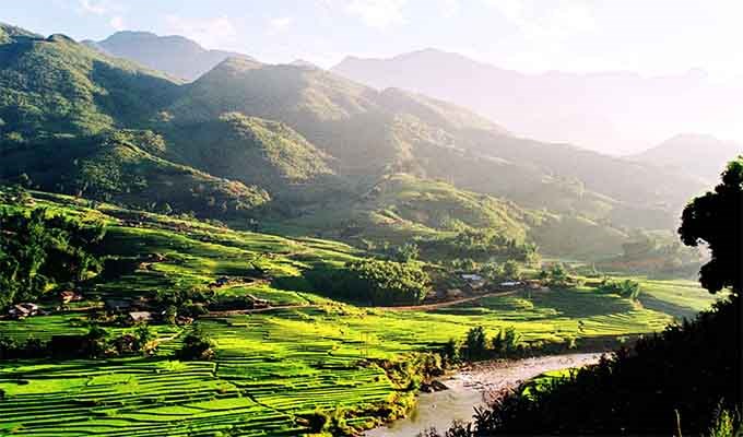 Con đường tình người