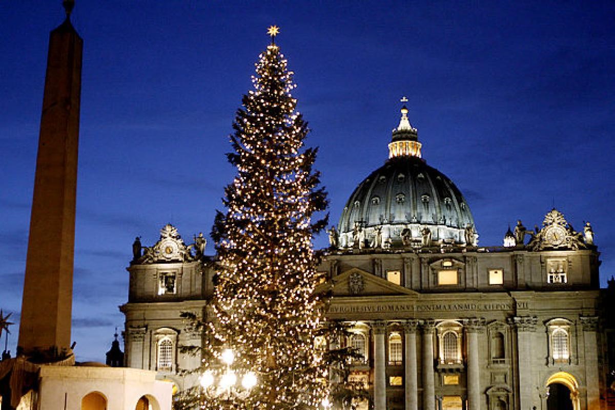 CÂY THÔNG VÀ HANG ĐÁ CỦA VATICAN SẼ ĐƯỢC TRƯNG BÀY TỪ NGÀY 7.12