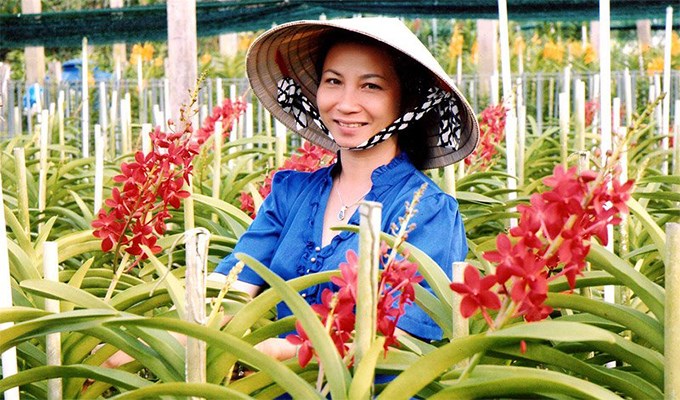 Vườn lan huyền thoại
