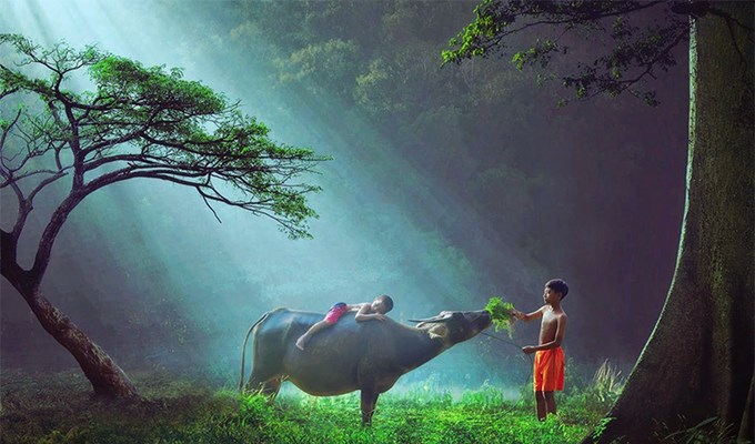 Quẳng gánh  lo đi !