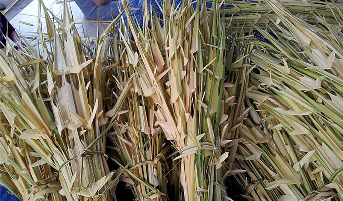 Lễ lá tuổi thơ