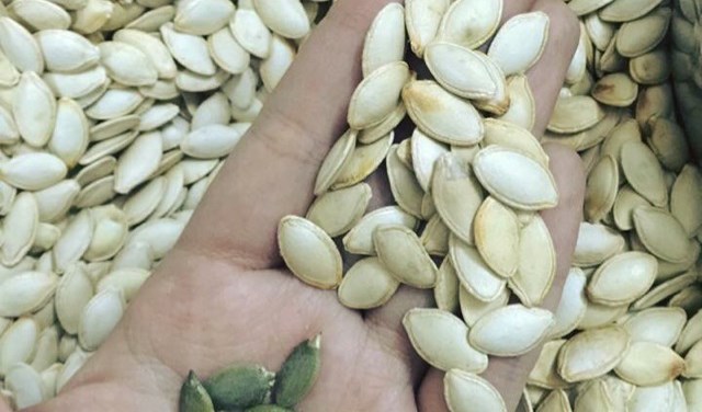Hạt ngon tuổi thơ