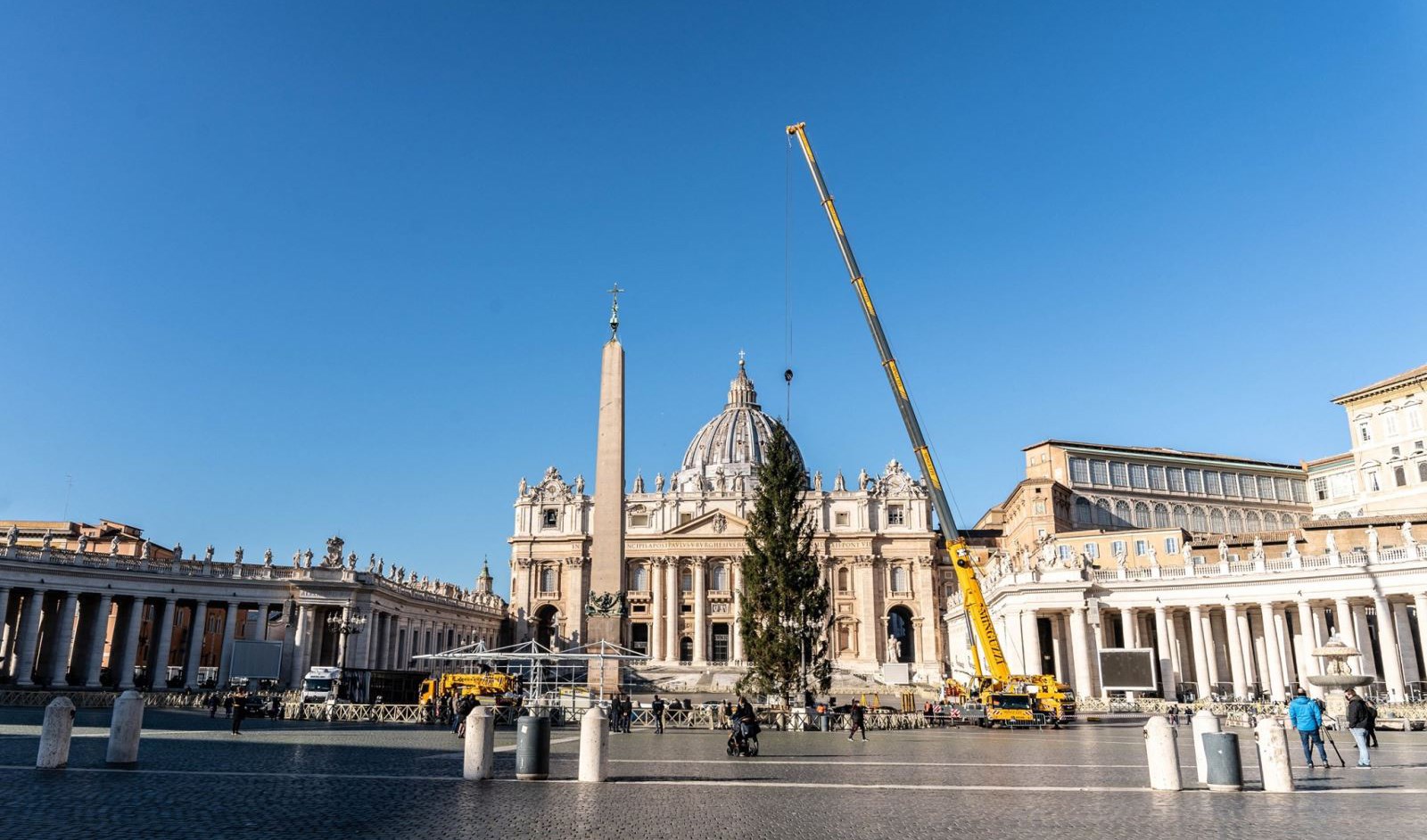 Cây thông Noel từ Slovenia về đến Vatican