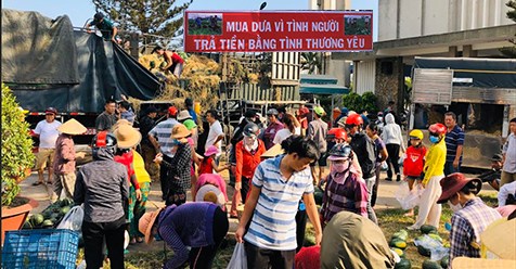 Mua dưa vì tình người trả tiền bằng tình thương yêu
