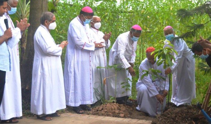 Giáo xứ Mausaid trồng cây ăn quả