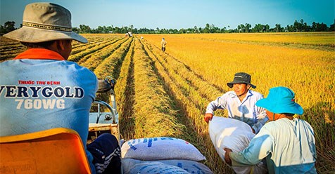 Di cư ồ ạt, Ðồng bằng sông Cửu Long cần được đầu tư...