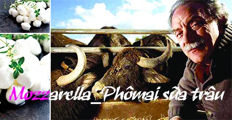 Mozzarella, tuyệt phẩm phômai sữa trâu của Ý