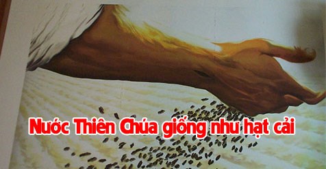 Thay đổi nhờ lời cô giáo