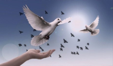 Ðối thoại giữa các thế hệ để kiến tạo an hòa