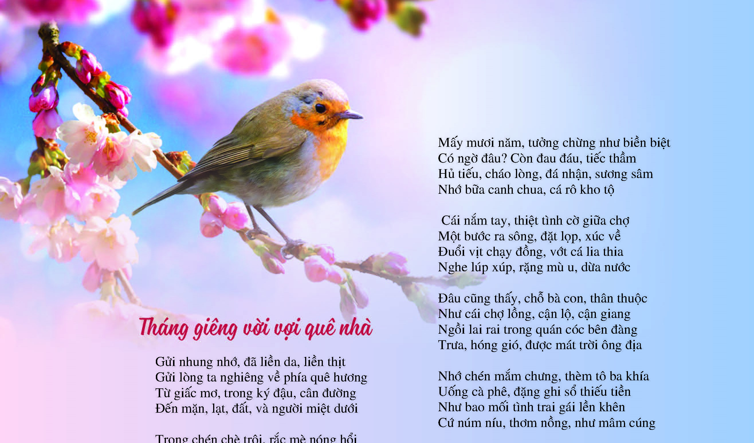 Tháng Giêng vời vợi quê nhà