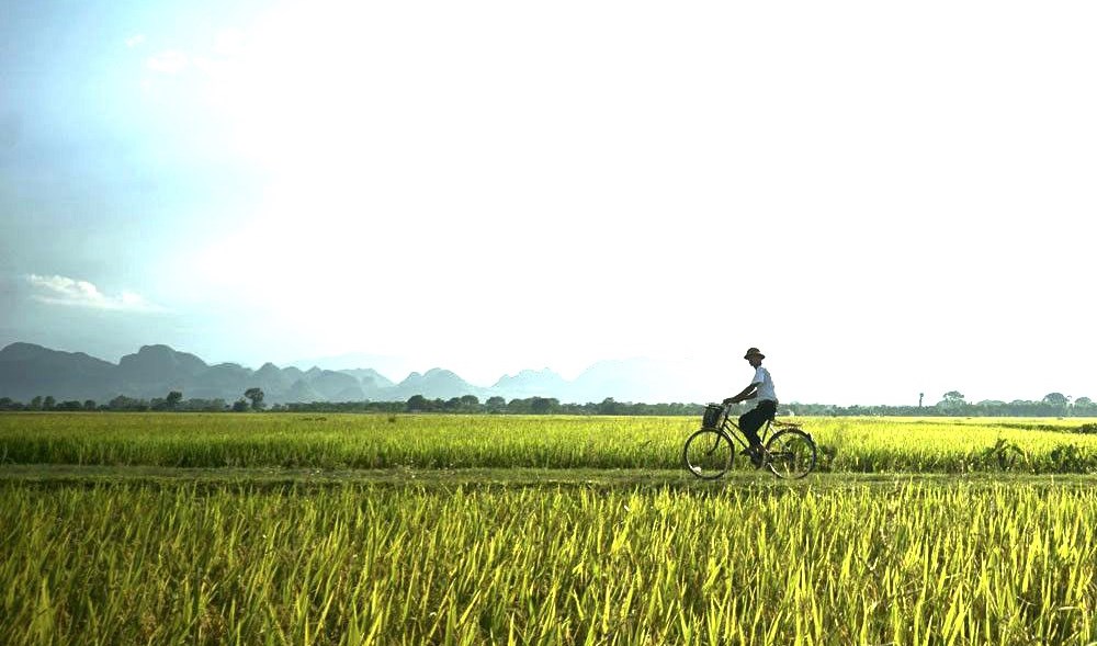 Bước đi thời gian…