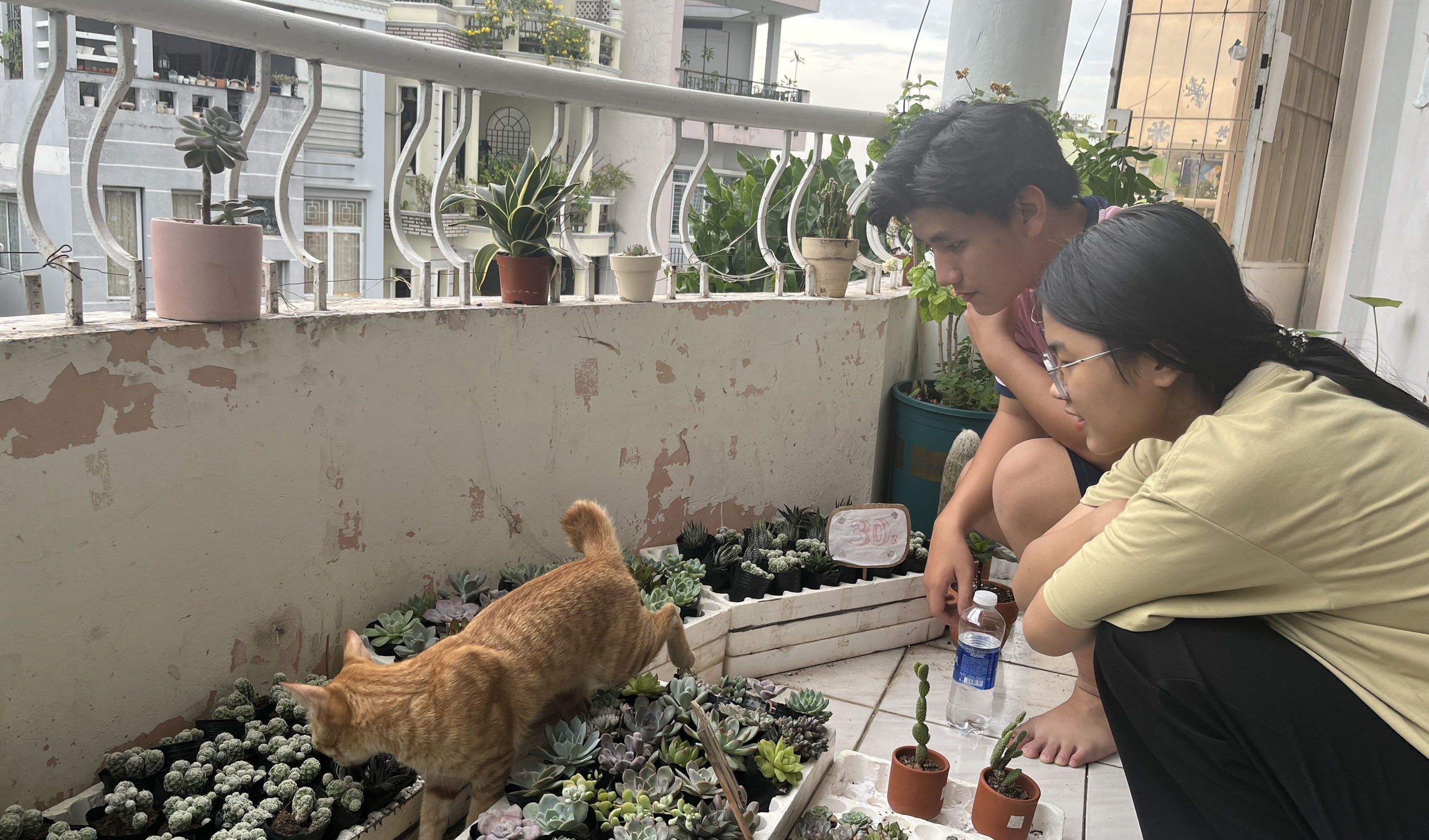 Những người trẻ chăm sóc mẹ thiên nhiên