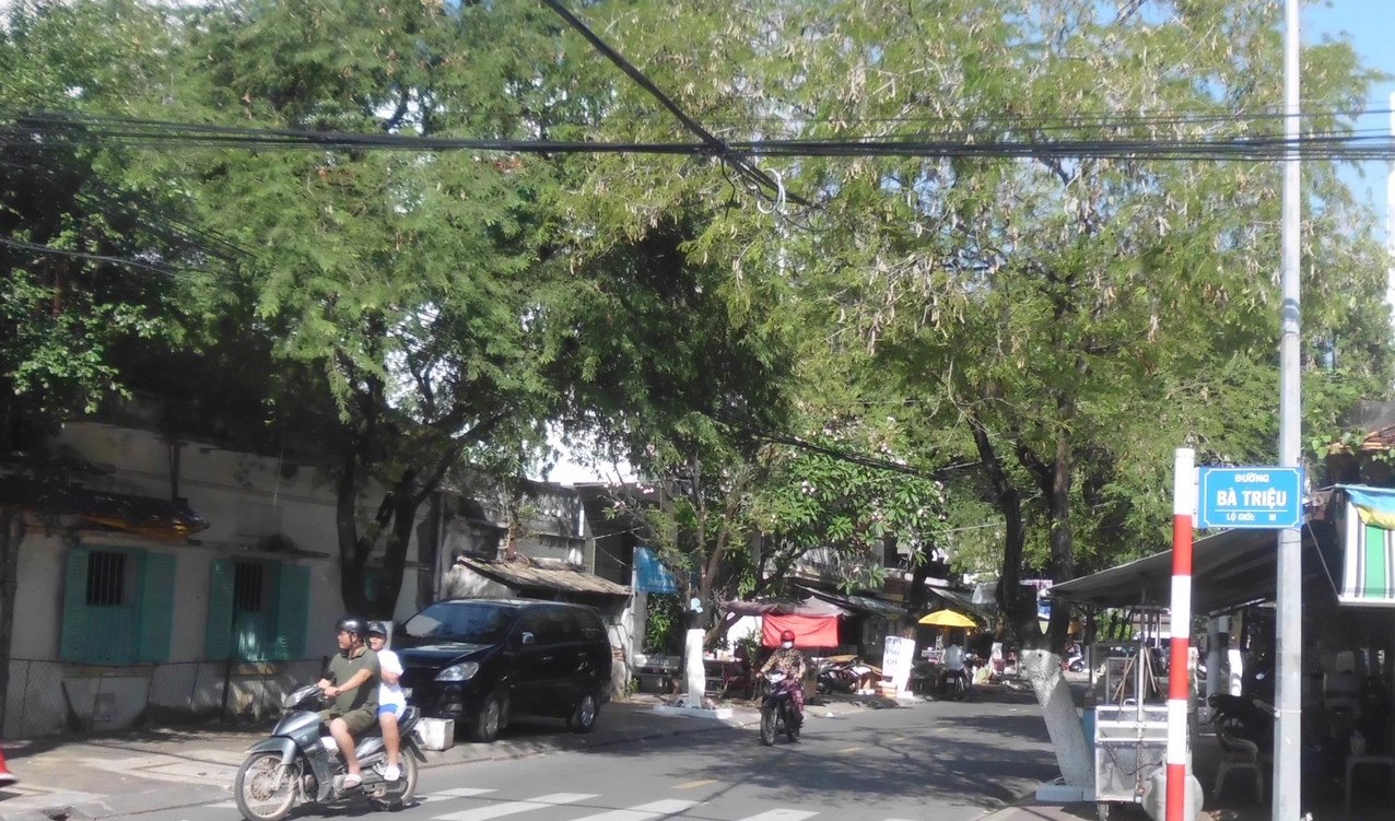 Ngày xuân ngắm… me ở Bạc Liêu