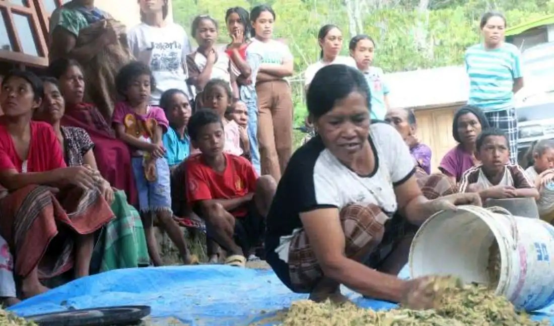 Sinh viên giúp nông dân