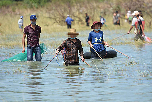 Câu chuyện lưới cá và lòng can đảm