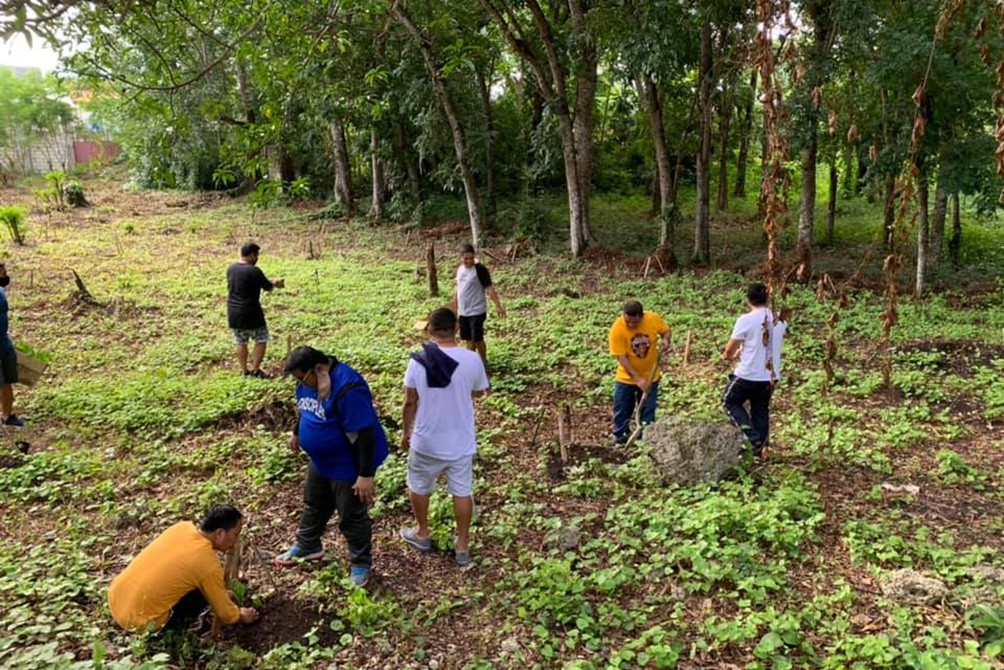 Philippines trồng cây Dại Lộ  CBCP_2.jpg (289 KB)