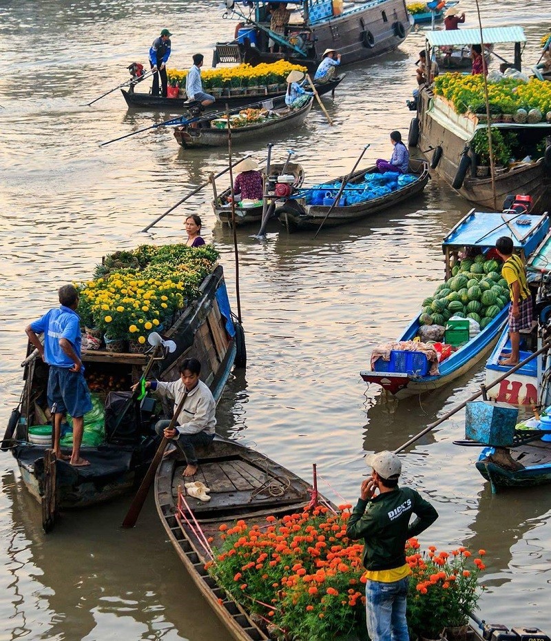 Chiếc mền ấm nhất